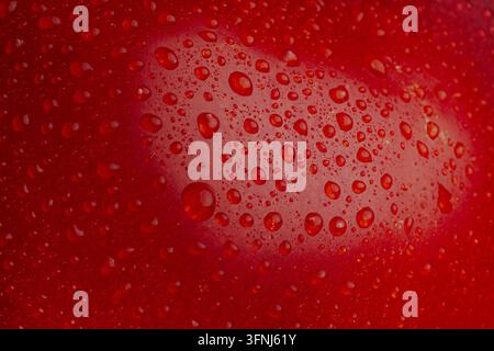 Extreme close-up of red tomato skin texture covered with fresh water droplets. Vibrant glossy surface, natural food background, juicy freshness concep Stock Photo