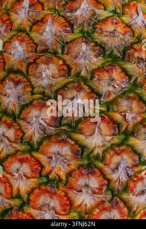Close-up macro of ripe pineapple skin showing repeating hexagonal scales in green, gold and orange tones. Tropical fruit texture background with natur Stock Photo