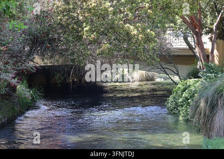 serene scene, tranquil stream winding through lush park, shaded tree-lined riverbank, concrete stone footbridge (close-up, soft-sunlight) Stock Photo