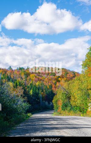 Scenic unpaved country road winding through a vibrant autumn forest under a blue sky with fluffy white clouds. Stock Photo