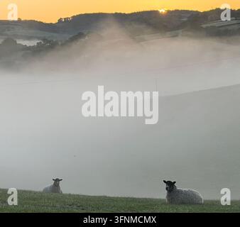 Time In England Dunsford, Devon, UK. 4th Oct, 2026. UK Weather: Early morning cloud ...