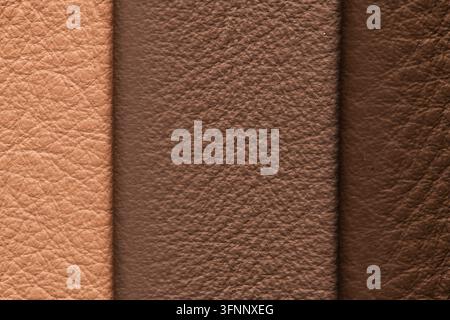 Detailed macro shot of gradient brown leather panels in tan, medium brown, and dark espresso, featuring a fine natural tumbled texture and soft direct Stock Photo