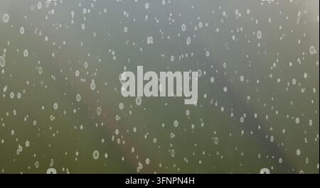 An olive green metallic textured background patterned with scattered white circular speckles and soft diagonal gradients. Stock Photo