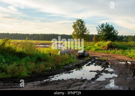Atmospheric countryside photograph showing a rugged dirt road with deep mud ruts and water puddles winding through open green fields. Large stones sit Stock Photo