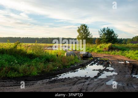 Atmospheric countryside photograph showing a rugged dirt road with deep mud ruts and water puddles winding through open green fields. Large stones sit Stock Photo