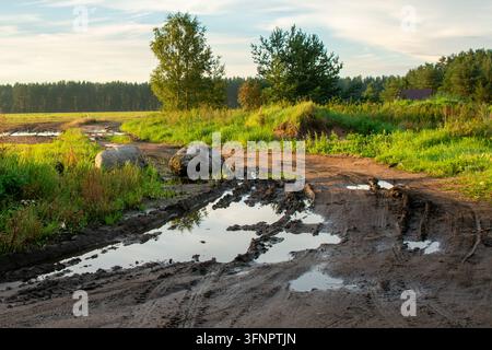 Atmospheric countryside photograph showing a rugged dirt road with deep mud ruts and water puddles winding through open green fields. Large stones sit Stock Photo