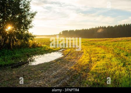 Atmospheric countryside photograph capturing a rural dirt track with a rain puddle winding through open grassy fields. Bright morning sunlight shines Stock Photo
