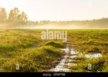 Atmospheric countryside photograph capturing a rural dirt track with a rain puddle winding through open grassy fields. Bright morning sunlight shines Stock Photo