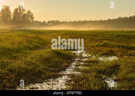 Atmospheric countryside photograph capturing a rural dirt track with a rain puddle winding through open grassy fields. Bright morning sunlight shines Stock Photo