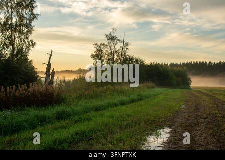 Atmospheric countryside landscape photograph capturing a muddy rural dirt path with water puddles winding through green fields at early sunrise. Golde Stock Photo