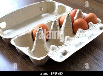 Organic chicken eggs placed in an open eco-friendly paper carton package resting on a wood background. Sustainable food packaging, farm produce delive Stock Photo