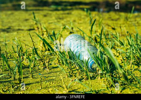 Discarded single-use plastic bottle trapped in river grass and duckweed. Concept of plastic waste in freshwater ecosystems, water pollution awareness, Stock Photo