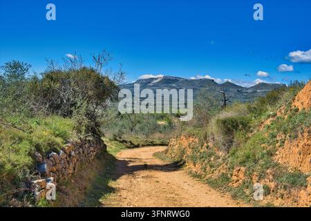 A scenic dirt road framed by a rustic stone wall winds through sunlit Mediterranean countryside toward distant mountains. Stock Photo