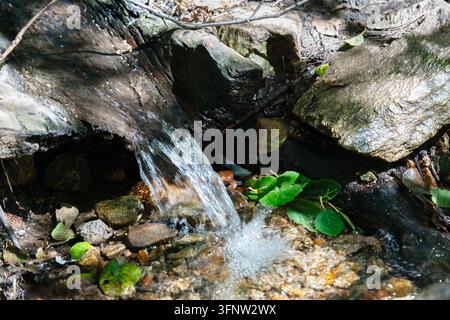 Small Waterfall Flowing Through Rocky Woodland Brook Stock Photo