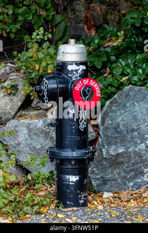 Black cast iron municipal fire hydrant marked with a bright red Out of Service warning ring on street beside stone wall and autumn leaves. Stock Photo