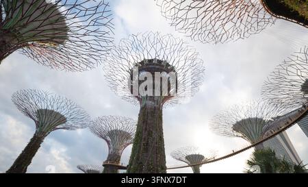 Low angle view of the futuristic Supertrees and elevated OCBC Skyway against the sky at Gardens by the Bay in Singapore Stock Photo