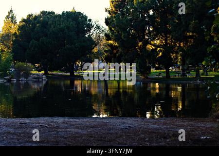 A shaded park pond reflects mature trees and warm evening light beside picnic tables and quiet recreational grounds in Southern California. Stock Photo