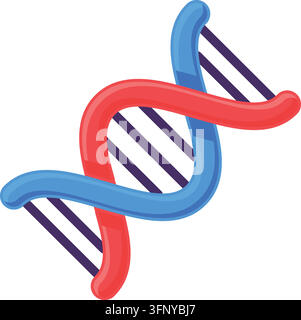 DNA helix double strand genetic code vector icon illustration isolated white. Double helix dna strand red blue spiraling strands genetics biological r Stock Vector
