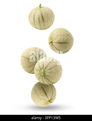 Fresh cantaloupe melons falling on white background Stock Photo