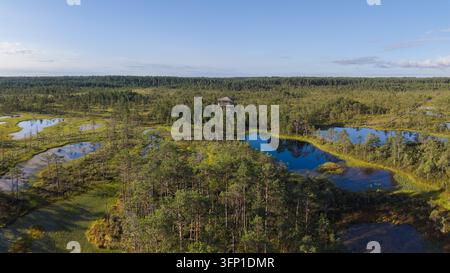 Aerial view of Viru Bog observation tower surrounded by pine trees, small peat pools, and wetlands in Kolga, Harju maakond, Estonia. Stock Photo