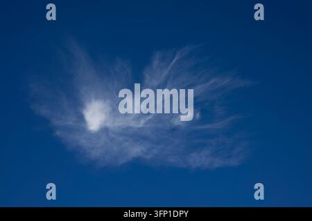 Wispy Cirrus Cloud in Deep Blue Sky Stock Photo