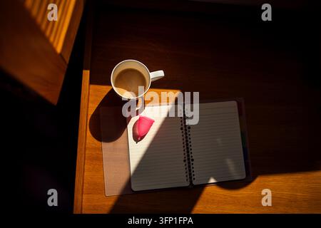 Overhead view shows a coffee cup beside an open lined notebook and pink eraser on a wooden desk, crossed by warm sunlight and shadows Stock Photo