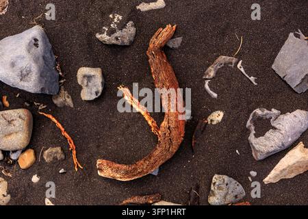 Weathered stones, broken shells, seaweed and driftwood scattered across dark wet beach sand in a natural coastal background Stock Photo