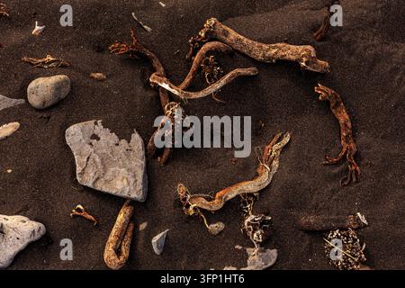Weathered stones, broken shells, seaweed and driftwood scattered across dark wet beach sand in a natural coastal background Stock Photo