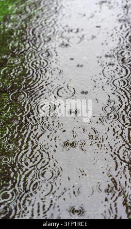 Close-up of raindrops falling into a shallow puddle and creating overlapping circular ripples on the water surface. Natural reflections and repeating Stock Photo