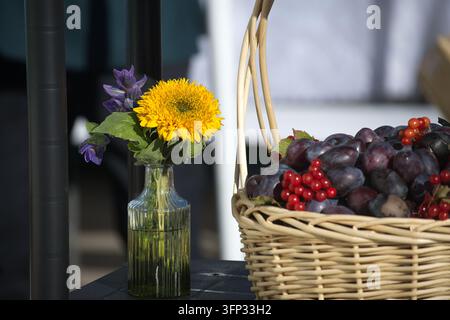 The rustic arrangement features a bright yellow flower and aromatic herbs placed next to a woven wicker basket filled with ripe seasonal fruit Stock Photo