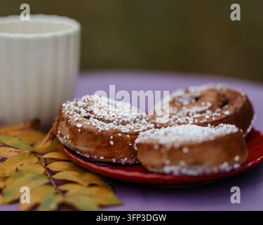 Three Swedish cinnamon buns topped with pearl sugar on a red plate, with a white cup and yellow autumn leaves against a softly blurred background. Stock Photo