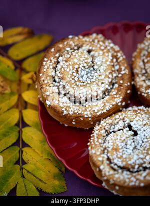 Close-up of Swedish cinnamon buns topped with pearl sugar on a red plate, surrounded by yellow autumn leaves against a purple background. Stock Photo
