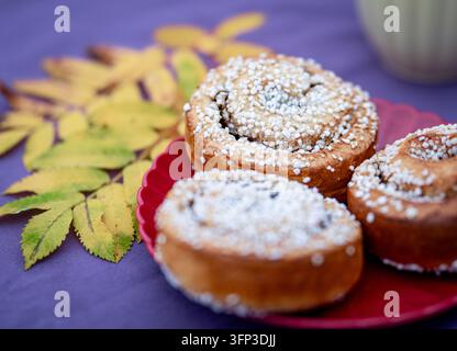 Three Swedish cinnamon buns topped with pearl sugar on a red plate, with yellow autumn leaves on a purple background. Stock Photo