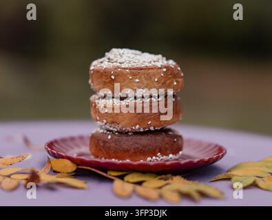 Three Swedish cinnamon buns topped with pearl sugar stacked on a red plate, surrounded by yellow autumn leaves against a softly blurred background. Stock Photo