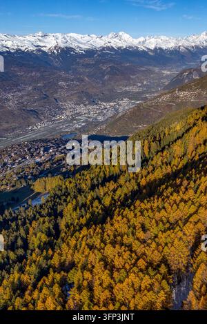 Aerial view of a larch forest in autumn, with the Rhône Valley and the town of Sion in the background, Switzerland Stock Photo
