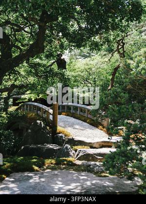 Arched wooden bridge with gravel path among pine trees, moss and rocks in a Japanese garden, Kyoto Imperial Palace grounds, Kyoto, Japan Stock Photo