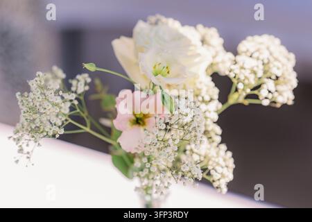 Bouquet of flowers arranged, in indoor close-up view, with white roses, baby's breath, pink flower, from a top-down perspective perspective, with Stock Photo