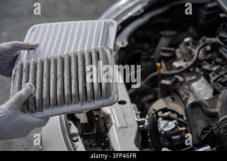 Filte Image A woman compares old and new cabin air filters Stock Photo - Alamy