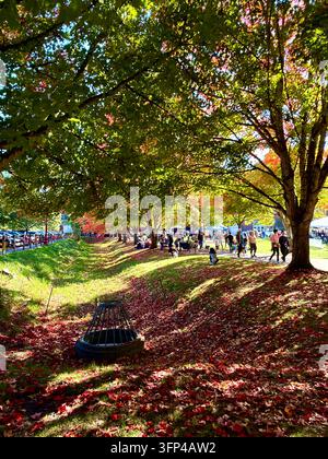 Visitors enjoy the Issaquah Salmon Days Festival beneath colorful autumn trees at Confluence Park in Issaquah, Washington, USA. Stock Photo