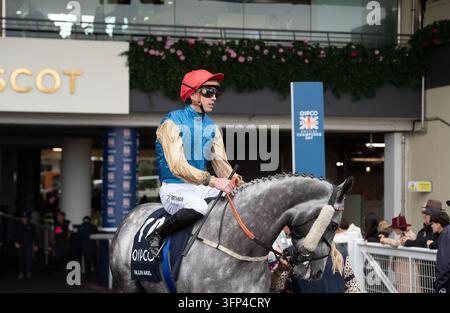 FILE PICS. 6th October, 2026. Tragically horse Fallen Angel suffered a ...