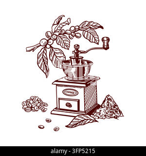 Coffee grinder, coffee plant sprig and roasted beans. Hand drawn vector illustration in line art style with detailed shading. Suitable for label Stock Vector