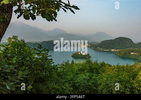 A stunning panoramic view of the Bleds Lake Island Castle, framed by lush greenery and distant misty mountains, evokes tranquility and natural beauty Stock Photo