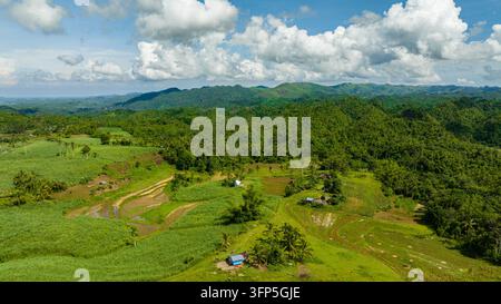 Farmland and mountains with green forest. Negros, Philippines Stock ...