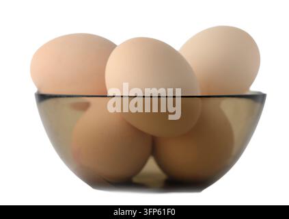 High resolution studio photograph of several fresh chicken eggs placed in a transparent glass bowl, isolated on a clean white background. Natural food Stock Photo