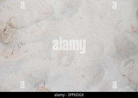 Flat lay texture of soft white sand with subtle footprints on a tropical beach. Natural background texture, summer vacation scene, beach travel theme. Stock Photo