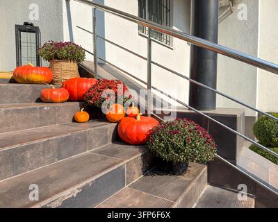 Pumpkin display decorates outdoor stone steps beside potted chrysanthemums. Bright orange gourds and flowers create festive autumn welcome at building Stock Photo