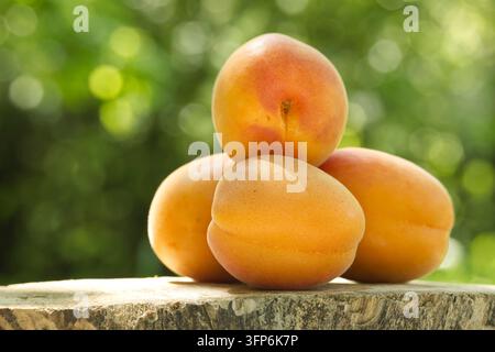 A close-up view of several ripe, fuzzy apricots stacked on a rough-hewn wooden log, set against a soft, out-of-focus green foliage backdrop Stock Photo