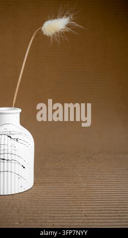 Minimalist White Ceramic Vase with Dried Bunny Tail Grass on Textured Brown Background with Copy Space Stock Photo