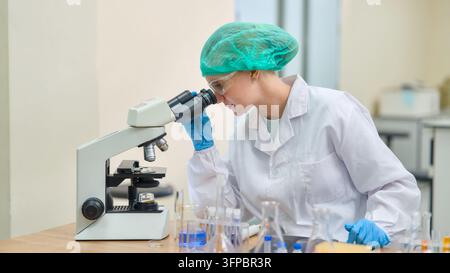 Woman scientist wearing a lab coat, safety glasses, hairnet, and blue gloves, looking into a microscope while performing a scientific experiment in a Stock Photo