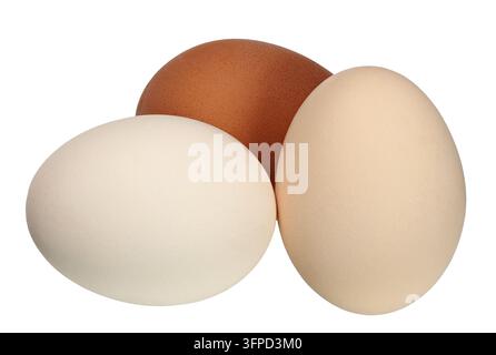 Three  chicken eggs isolated on white background Stock Photo